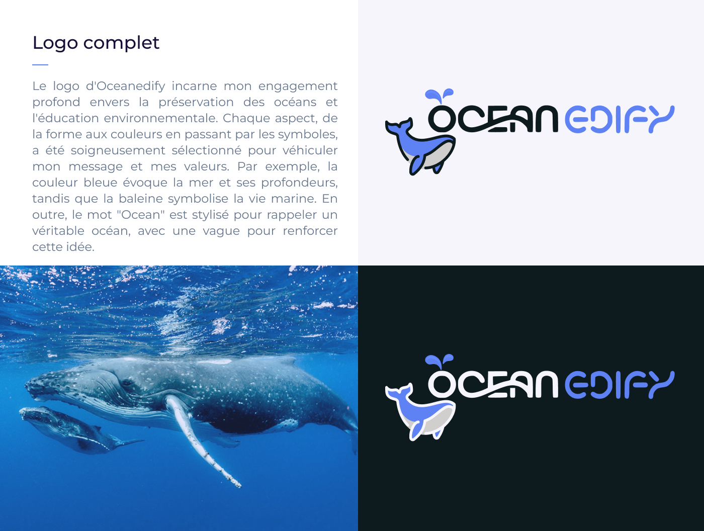 Logo OceanEdiFy